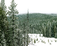 Snowy landscape in the Bighorn Mountains